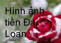 Đài Loan Dùng Tiền Gì ? Hình Ảnh Tờ Tiền – Cách Phân Biệt Thật Giả
