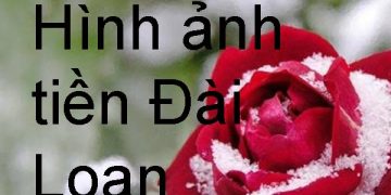 Đài Loan Dùng Tiền Gì ? Hình Ảnh Tờ Tiền – Cách Phân Biệt Thật Giả