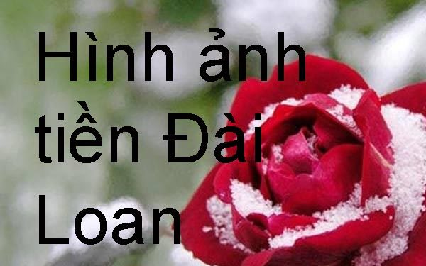 Đài Loan Dùng Tiền Gì ? Hình Ảnh Tờ Tiền – Cách Phân Biệt Thật Giả