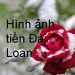 Đài Loan Dùng Tiền Gì ? Hình Ảnh Tờ Tiền – Cách Phân Biệt Thật Giả