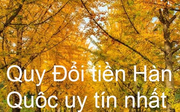 Những Nơi Đổi Tiền Hàn Quốc Uy Tín – Đổi Tiền Won Ở Đâu Lợi Nhất