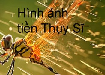 tiền Thụy Sĩ