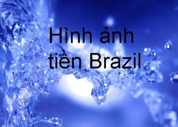 Brazil Dùng Tiền Gì ? Hình Ảnh Tờ Tiền – Cách Phân Biệt Thật Giả