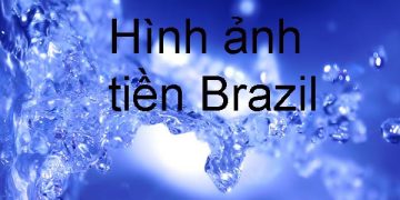 Brazil Dùng Tiền Gì ? Hình Ảnh Tờ Tiền – Cách Phân Biệt Thật Giả