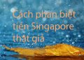 cách phân biệt tiền singapore