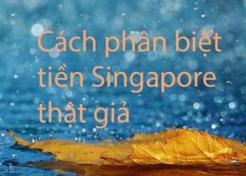 cách phân biệt tiền singapore
