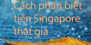 cách phân biệt tiền singapore