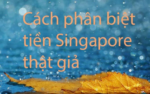 cách phân biệt tiền singapore
