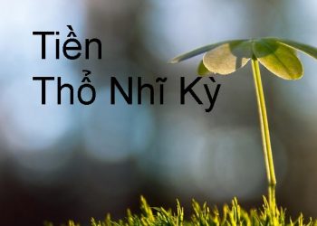 Các Mệnh Giá Tiền Thổ Nhĩ Kỳ ? Tỷ Giá Quy Đổi Tiền TNK Mới Nhất