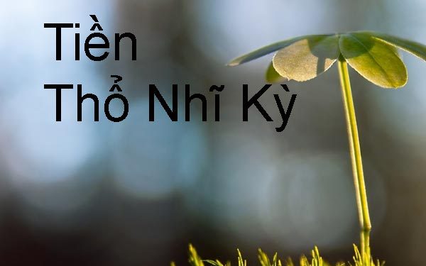 Các Mệnh Giá Tiền Thổ Nhĩ Kỳ ? Tỷ Giá Quy Đổi Tiền TNK Mới Nhất