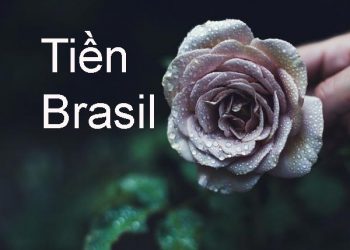 tiền brazil