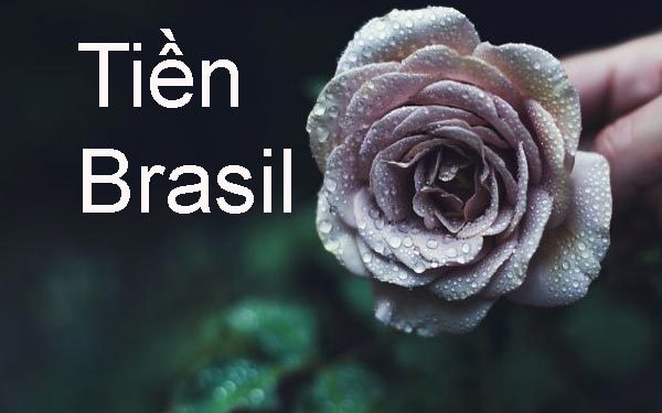 tiền brazil