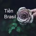 tiền brazil