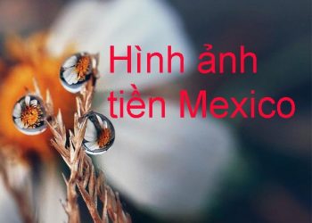 Hình ảnh tiền Mexico