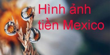 Hình ảnh tiền Mexico