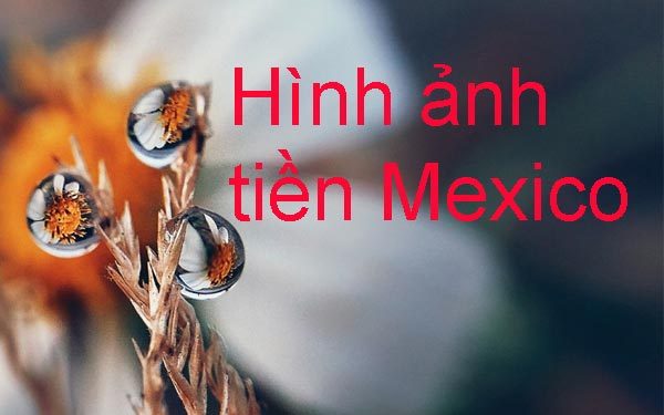 Hình ảnh tiền Mexico